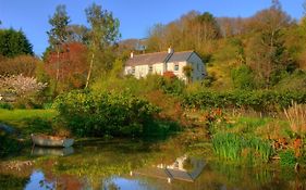 Holiday Cottage Falmouth
